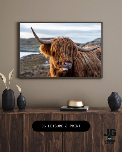 Highland Cow Poster Unframed