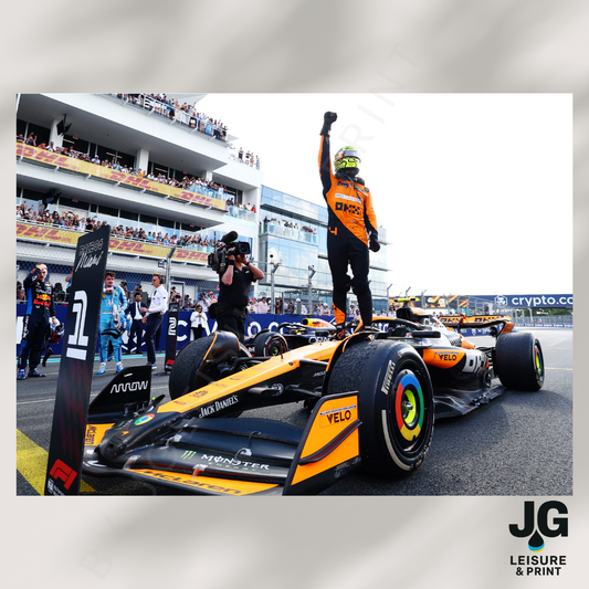 Lando Norris Poster Wall Art A1-A5